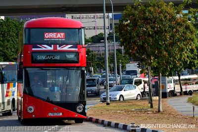 Special (LT61 CHT) - SG