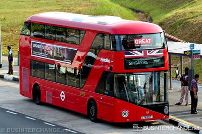 Special (LT61 CHT) - SG