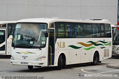 MA9062 - New Lantao Bus (新大嶼山巴士有限公司) MAN 18.310