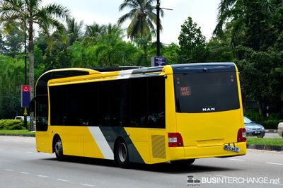 Unregistered MAN RC2 LE 19.290 (Euro V) for Froehlich Tours On Delivery (Rear) - Froehlich Tours MAN RC2 LE 19.290