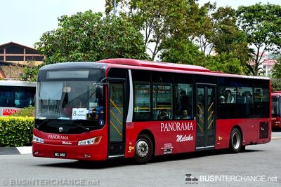 Bus 8 - Panorama Melaka Zhong Tong LCK6125G (MCL4452)