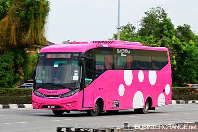 MDK4992 · M31