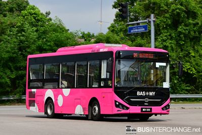 Zhongtong N8 / TMS08LCA