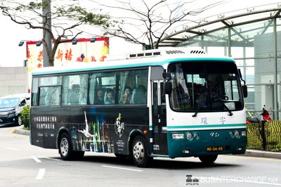 Hyundai Aero Town