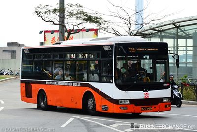 Bus 2A - TCM Wuzhoulong FDG6920 (ML-74-39)