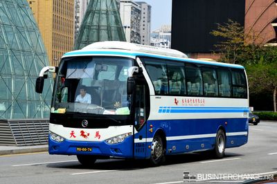 Golden Dragon XML6113J