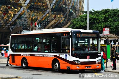 Bus 12 - TCM Wuzhoulong FDG6951 (MR-77-94)