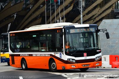 Bus 2A - TCM Wuzhoulong FDG6951 (MR-84-20)