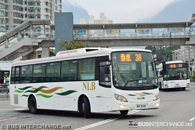 Bus 38 - New Lantao Bus (新大嶼山巴士有限公司) MAN 18.350 (MX6221)