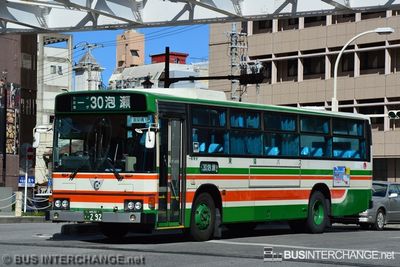 Bus 30 - Toyo Bus Hino Blue Ribbon (???)
