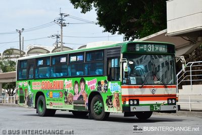 Bus 31 - Toyo Bus Hino Blue Ribbon (???)