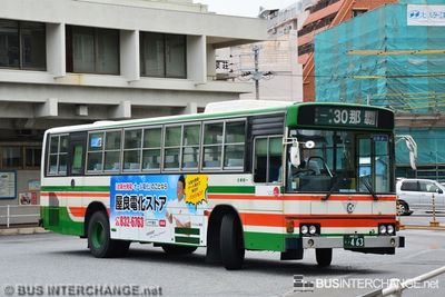 Bus 30 - Toyo Bus Hino Blue Ribbon (???)