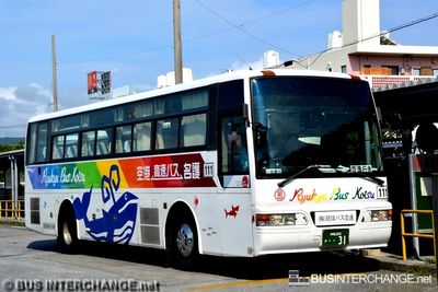 Bus 111 - Ryukyu Bus Kotsu Nissan Diesel Space Runner (沖縄 200 か   31)