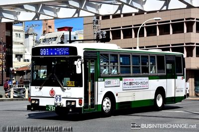 Bus 99 - Ryukyu Bus Kotsu Hino Blue Ribbon (沖縄 200 か  257)