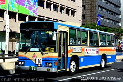 Bus 110 - Ryukyu Bus Kotsu Hino Blue Ribbon (沖縄 200 か  350)