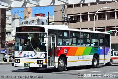 Bus 46 - Naha Bus Hino Blue Ribbon (沖縄 200 か  417)