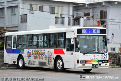 Bus 89 - Ryukyu Bus Kotsu Isuzu Cubic (沖縄 200 か  534)