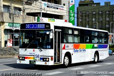Bus 56 - Ryukyu Bus Kotsu Hino Blue Ribbon (沖縄 200 か  536)