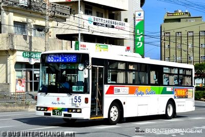 沖縄 200 か  561 · 55