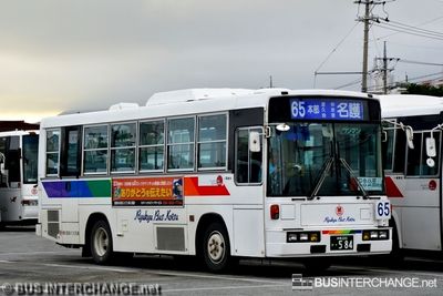 Bus 65 - Ryukyu Bus Kotsu Nissan Diesel Space Runner (沖縄 200 か  584)