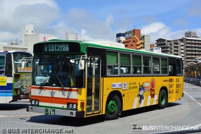 Hino Blue Ribbon