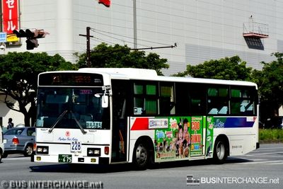 Bus 228 - Ryukyu Bus Kotsu Hino Blue Ribbon (沖縄 200 か  675)