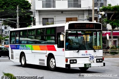 Bus 28 - Ryukyu Bus Kotsu Hino Blue Ribbon (沖縄 200 か  807)