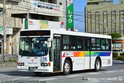 沖縄 200 か  865 · 56