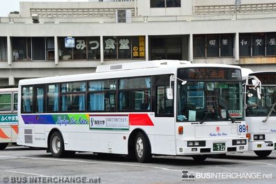 Bus 89 - Ryukyu Bus Kotsu Isuzu Erga (沖縄 200 か  922)