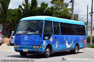 ??? - Other Japan Buses Mitsubishi Fuso Rosa