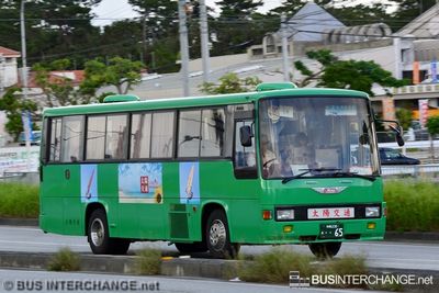 ??? - Other Japan Buses Hino Melpha