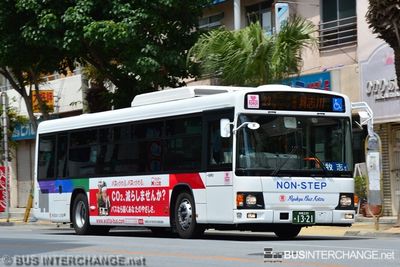 Hino Blue Ribbon II