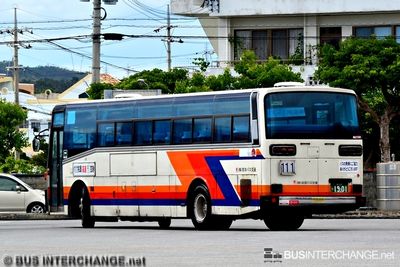 Bus 111 - Ryukyu Bus Kotsu Hino Blue Ribbon (沖 22 か 1901)