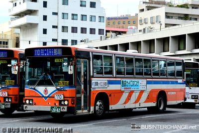 Hino Blue Ribbon