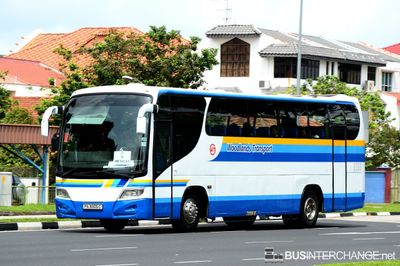 PA3806C - Private Operator Isuzu LT133P