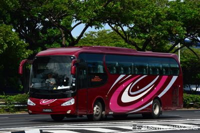 PA6553L