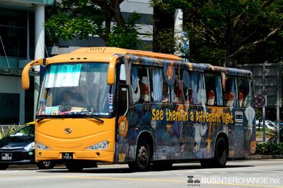 PA7110A - Private Operator King Long XMQ6118K