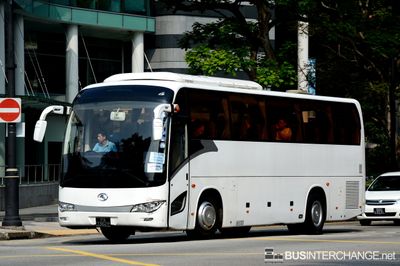 PA7362P - Private Operator King Long XMQ6117K