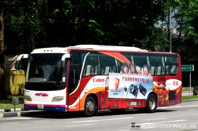 PA8233Y - Private Operator Golden Dragon XML6118E