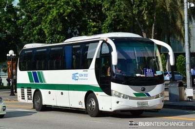 Bus 621 - Private Operator Yutong ZK6100H (PA8242X)