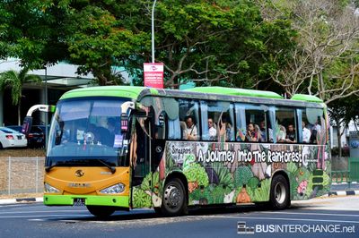 PA8595C - Private Operator King Long XMQ6119K