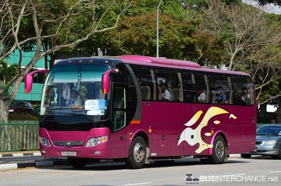 PA8833R - Private Operator Yutong ZK6107H