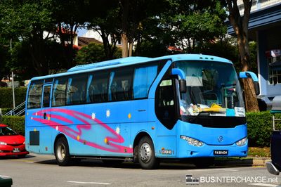 PA9840M - Private Operator Golden Dragon XML6103J