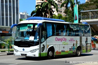 PC1131T - Private Operator Golden Dragon XML6957J