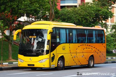 PC1398R - Private Operator Golden Dragon XML6957J