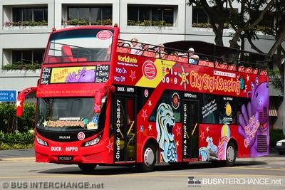 PC1586P - City Sightseeing Singapore MAN 18.240 HOCL-NL (A69)