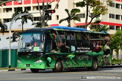 Bus 291P - Private Operator Zhong Tong LCK6107H (PC2034J)