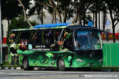Bus 291P - Private Operator Zhong Tong LCK6107H (PC2034J)