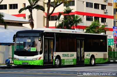 Bus 291P - Travel GSH Zhong Tong LCK6121G (PC2086J)