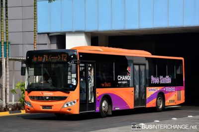 Bus T1CP - Private Operator Yutong ZK6126HG (PC2993R)